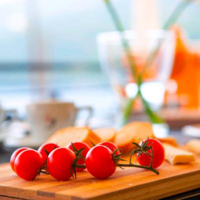 Captain Nick Studios 20